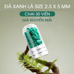 113195456557272874872 ZipVN